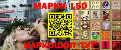дмт Ирбит