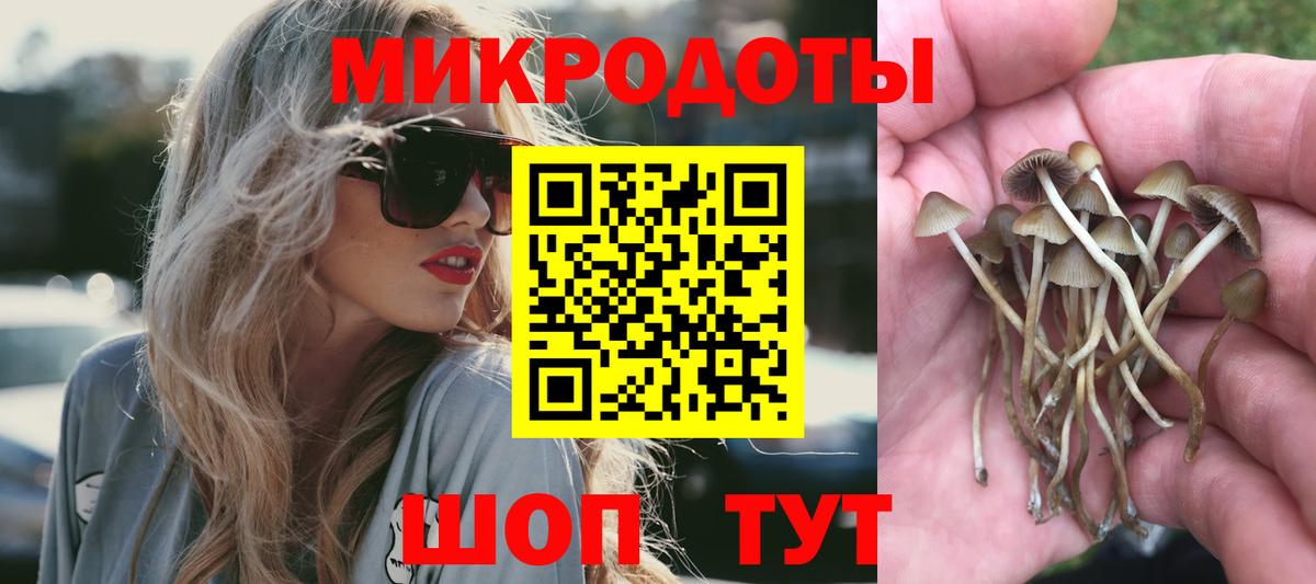 закладки  Галлюциногенные грибы мухоморы  Вход с VPN  Рязань  Галлюциногенные грибы мухоморы 